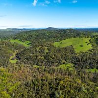 Hyatt Ranch images 4