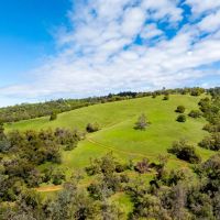 Hyatt Ranch images 5