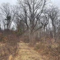 BEDFORD COUNTY - LINCOLN HIGHWAY BEDFORD - 9.31 - ACRES images 3