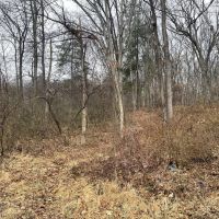 BEDFORD COUNTY - LINCOLN HIGHWAY BEDFORD - 9.31 - ACRES images 5