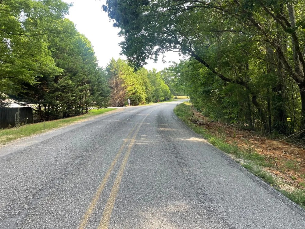 Tract 2 25 Acre Homestead in Lawrence County AL featured image