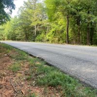 Tract 2 25 Acre Homestead in Lawrence County AL images 2