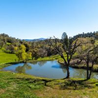 Espinoza Ranch images 2