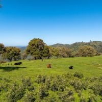 Espinoza Ranch images 3