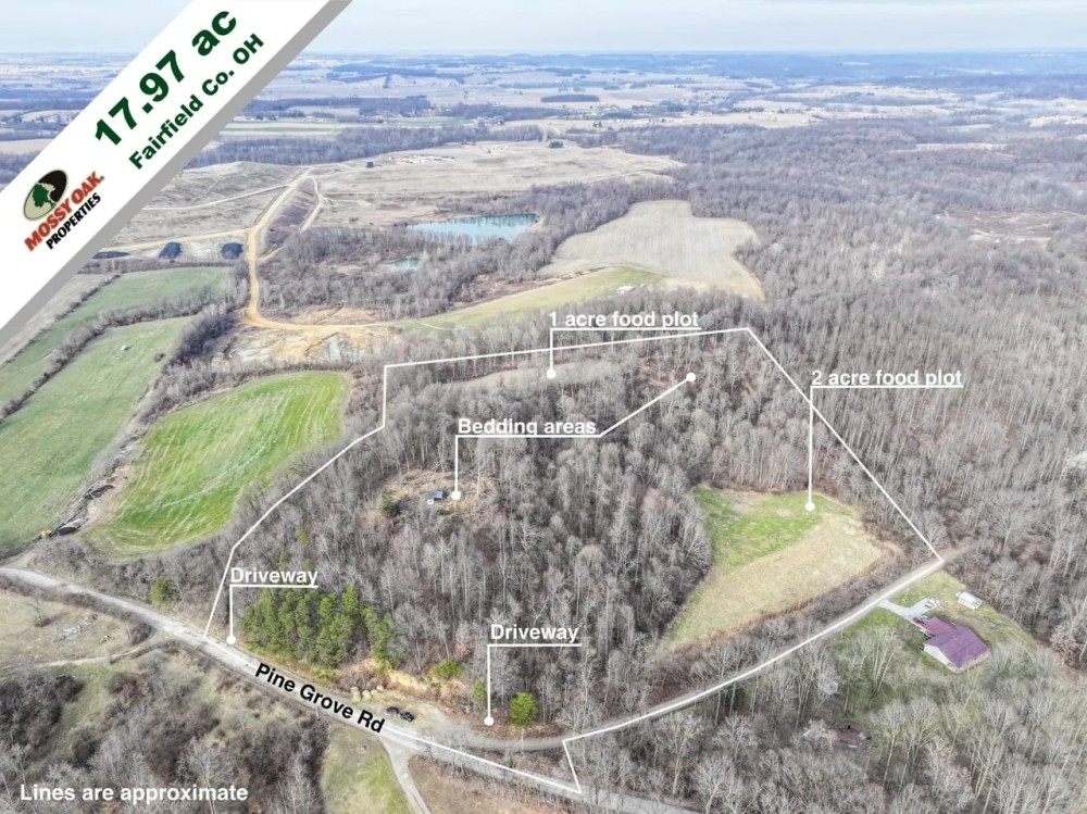 Pine Grove - 17.97 acres - Fairfield County featured image