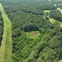 Hunting and Recreation Tract In The Heart of The Blackbelt images 2