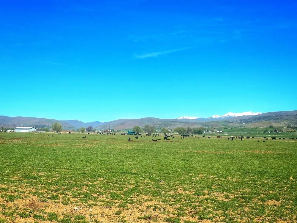 Richland Farm featured image
