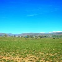 Richland Farm