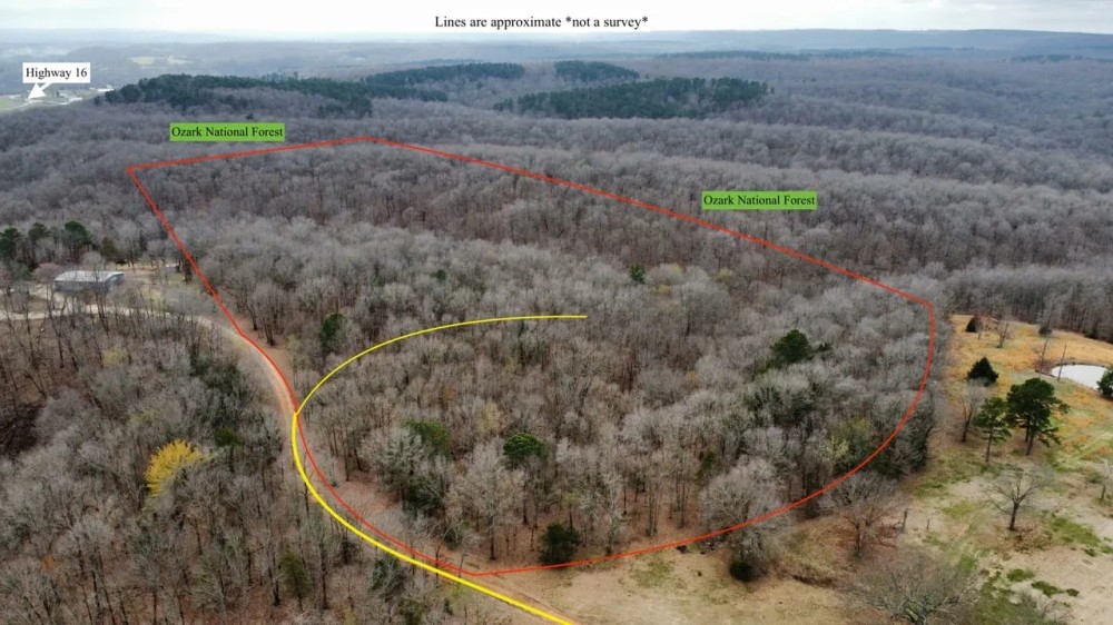 32 Acres on Wedington WMA featured image