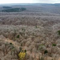 32 Acres on Wedington WMA images 3