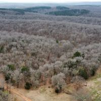 32 Acres on Wedington WMA images 4