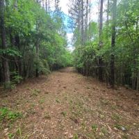 39.5 Acres in Franklin County in Roxie MS images 2
