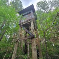 39.5 Acres in Franklin County in Roxie MS images 3