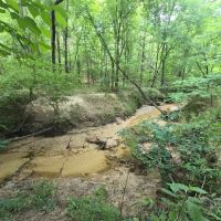 39.5 Acres in Franklin County in Roxie MS images 5