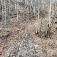 Conrad Rd - 16 Acres - Hocking County images 5