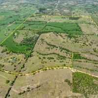 415 - Acres Working Cattle Farm Fenced Cross-Fenced Ponds Gepp Arkansas