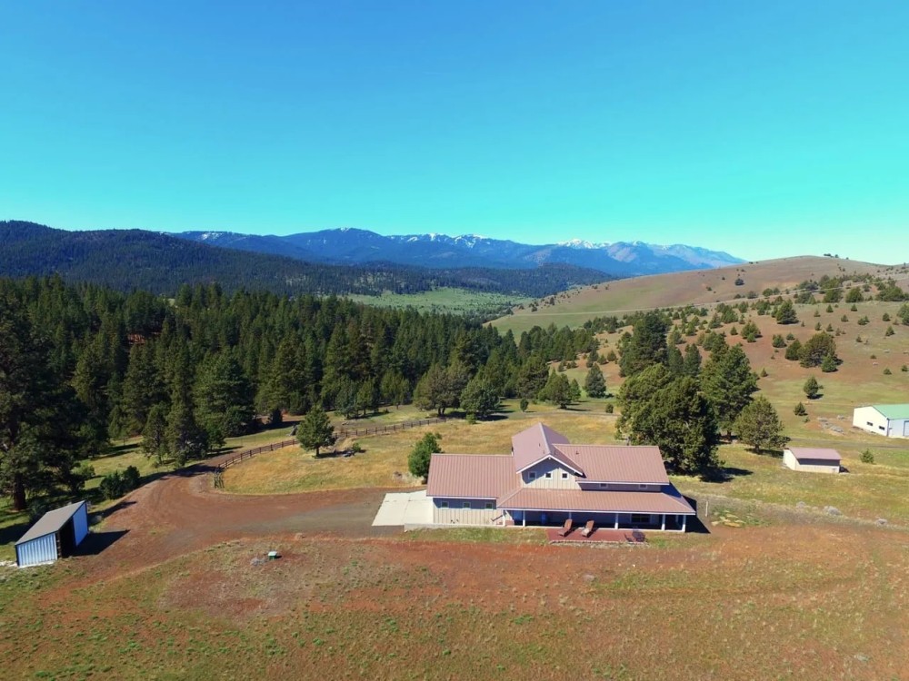 Sunny Meadows Ranch featured image