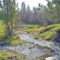 Sunny Meadows Ranch images 4