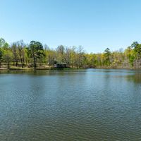 116 - Acres Hunters Paradise with a Cabin its own Lake Izard County Arkansas