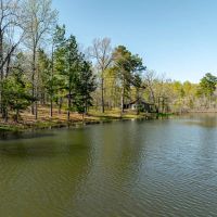 116 - Acres Hunters Paradise with a Cabin its own Lake Izard County Arkansas images 4