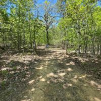 116 - Acres Hunters Paradise with a Cabin its own Lake Izard County Arkansas images 5