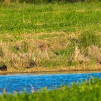 O W Ranch images 5