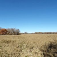 RECREATIONAL HUNTING AND ATV RIDING CHOCTAW CO.EAST