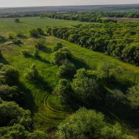 RS 53303 - 110 acres FM 103 Spanish Fort TX images 2