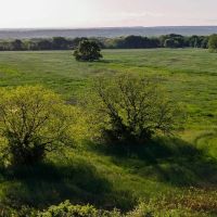 RS 53303 - 110 acres FM 103 Spanish Fort TX images 3