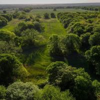 RS 53303 - 110 acres FM 103 Spanish Fort TX images 4