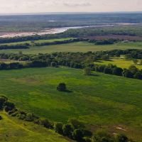 RS 53303 - 110 acres FM 103 Spanish Fort TX images 5