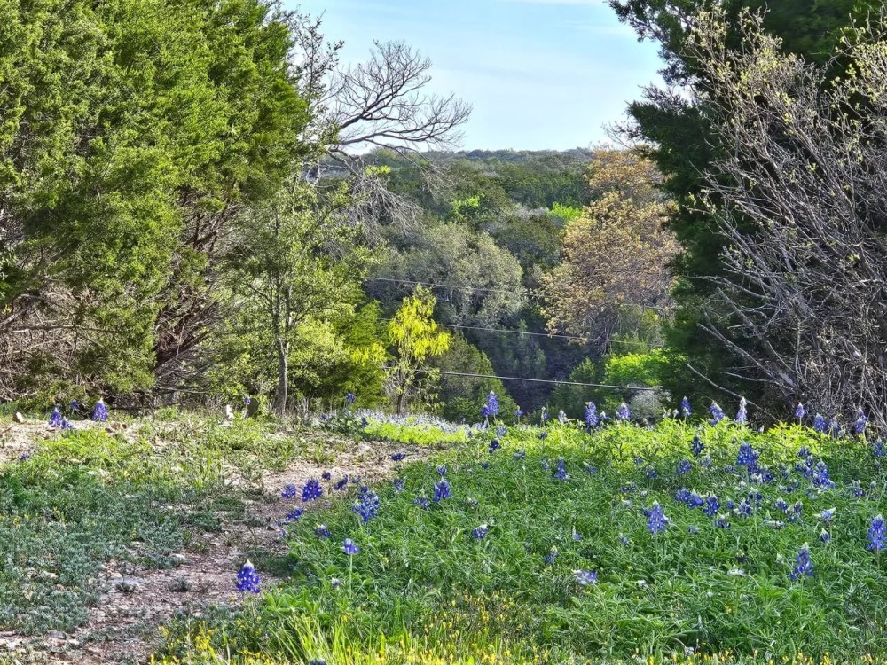 Lampasas County Land for Sale - 10 acres in Smith Ranch featured image