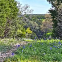 Lampasas County Land for Sale - 10 acres in Smith Ranch