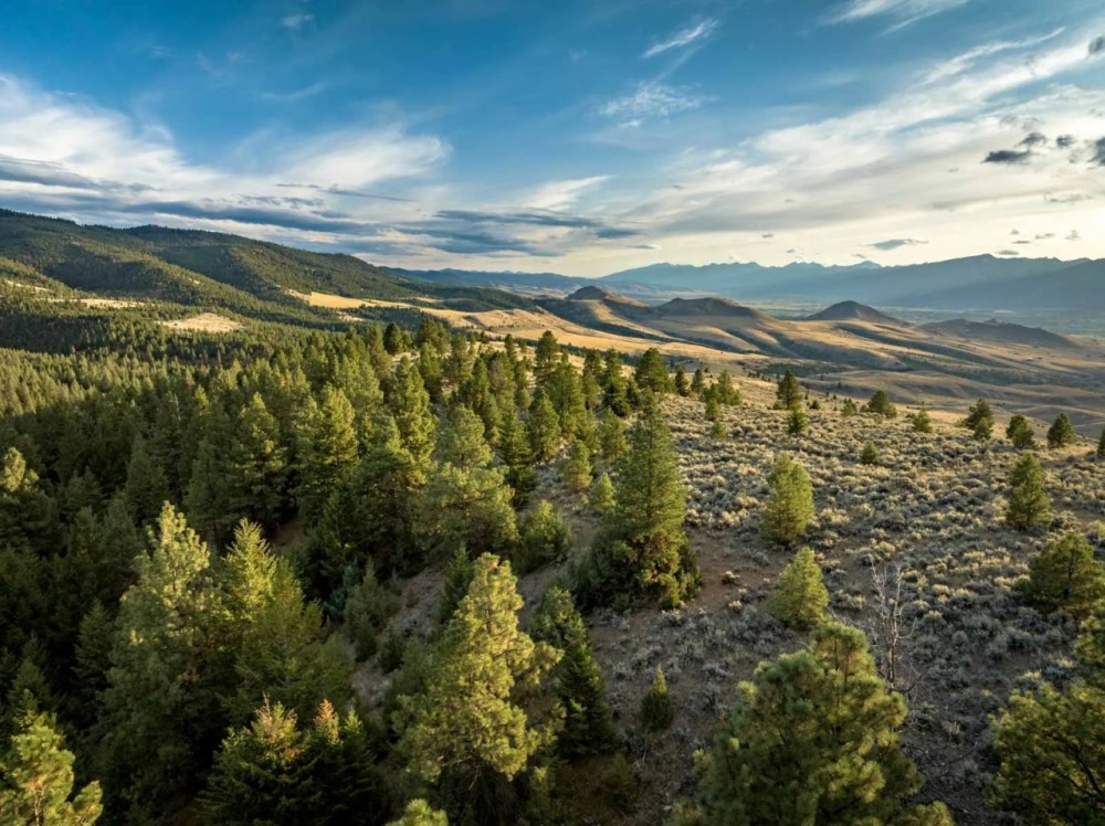 Bitterroot Mountain Retreat featured image