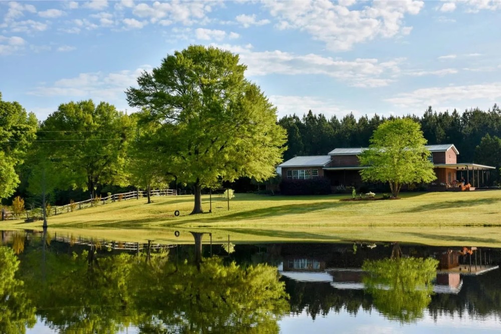 Bellhouse Farms featured image