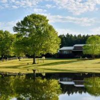 Bellhouse Farms