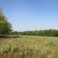 ROLLING HILL RANCHES DEVELOPMENT PHASE 2 Choctaw County OK LOT 7 34.00 AC