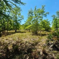 176.8 Acre Recreational Tract
