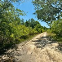 176.8 Acre Recreational Tract images 2