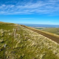 Upper Dry Creek Road images 2
