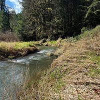 South Fork images 3