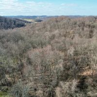 Malden Road Washington County - 22 acres images 5