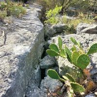 Land for Sale in Smith Ranch - 20 acres images 3