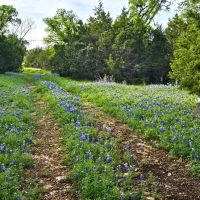 Land for Sale in Smith Ranch - 20 acres images 4