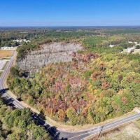 30.51 acres of Recreational and Hunting Land For Sale in Wayne County NC images 2
