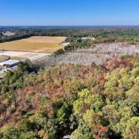 30.51 acres of Recreational and Hunting Land For Sale in Wayne County NC images 4