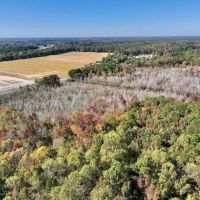 30.51 acres of Recreational and Hunting Land For Sale in Wayne County NC images 5
