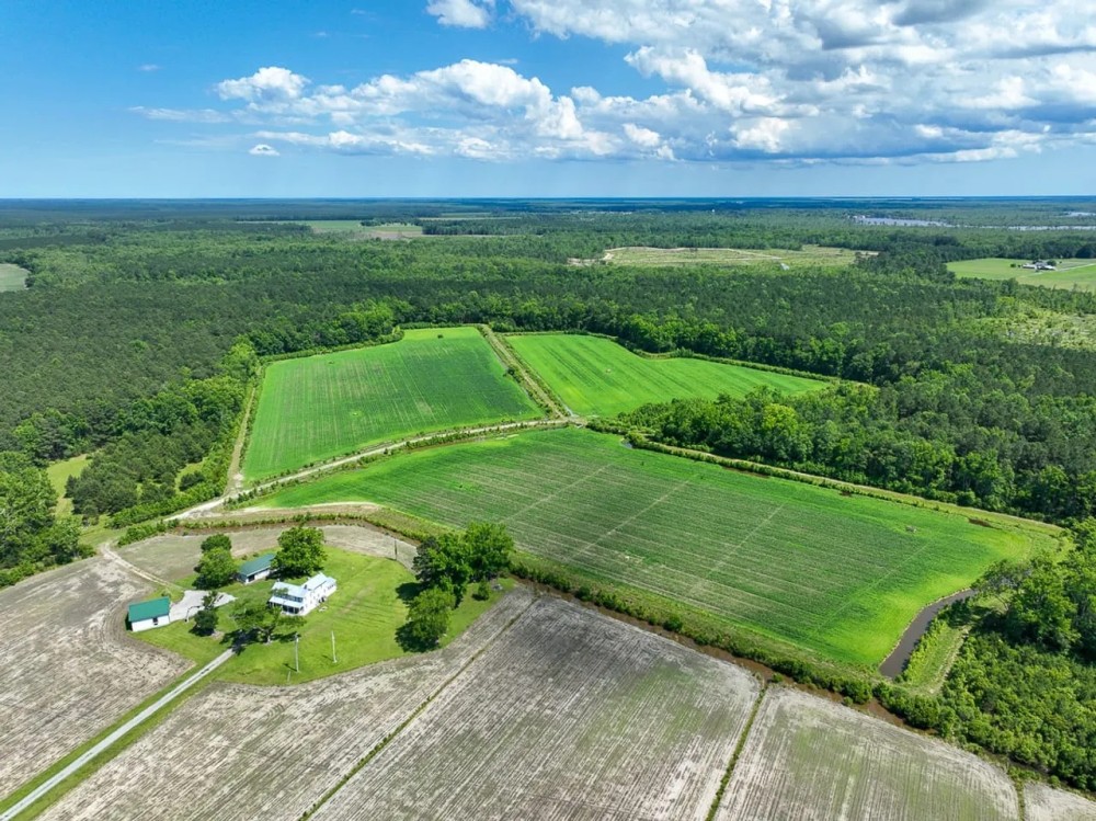 280 acres of Land and Farmhouse For Sale in Tyrrell County NC featured image