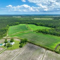 280 acres of Land and Farmhouse For Sale in Tyrrell County NC