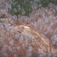 Young Timber Tract 38 A images 4